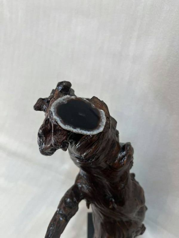 Alternate image for ‘Bob Cat Evening Star Protector’ Hand-Shaped Nature Art From a Vintage Tree Root