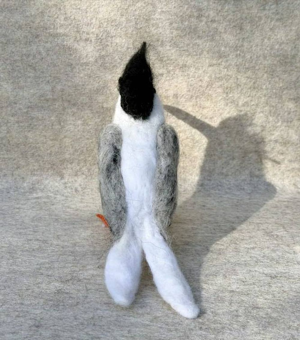 Alternate item image