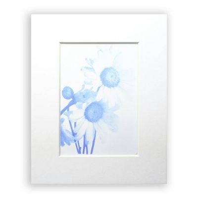 Primary image for Impressionist Blue Cyanotype Daisy Photograph with Mat