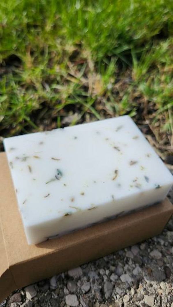 Main image for Queen City Naturals
