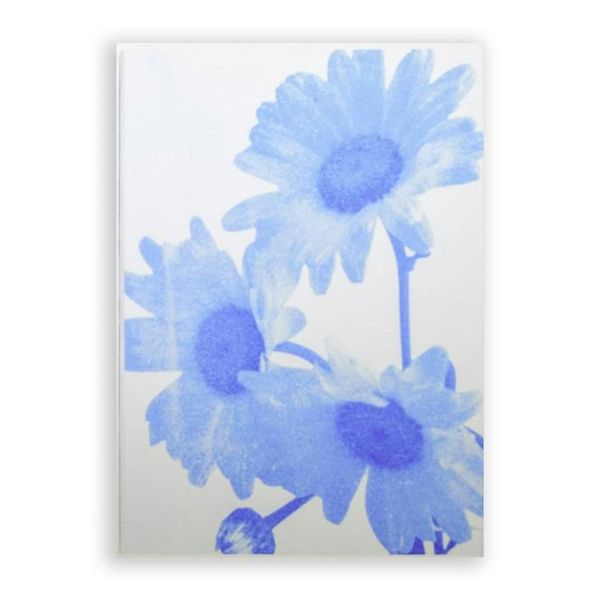 Alternate image for Blue Cyanotype Daisy Print - Matted Floral Art
