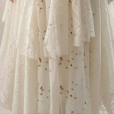 Alternate image for Delicate Ivory Lace Asymmetric Hem Dress with Floral Embellishments
