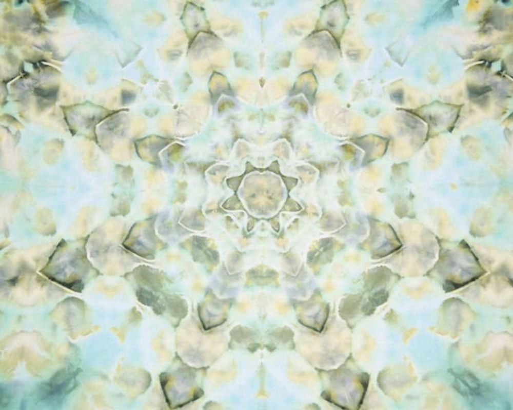 Main item image