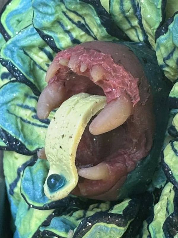 Alternate image for Polymer Clay Fang Flower Brooch