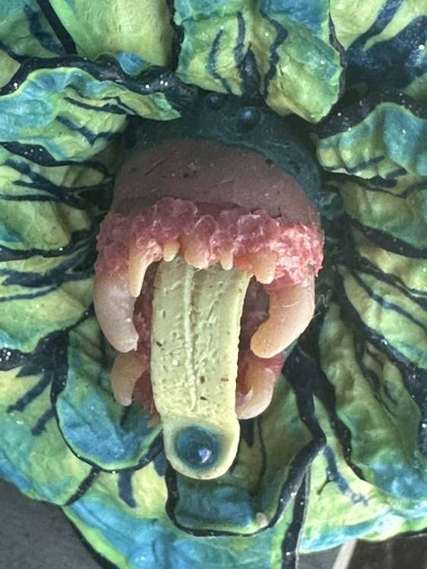 Alternate image for Polymer Clay Fang Flower Brooch