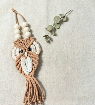 Alternate image for Handmade Macrame Owl Key chain, Owl Lover Gift Topper, Christmas Ornament, Key Holder