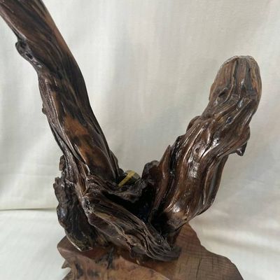 Alternate image for Earth Energy Hand-Shaped Nature Art From a Vintage Tree Root