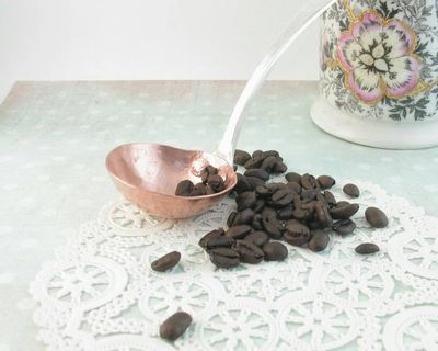 Alternate image for Copper & Silver Coffee Measuring Scoop