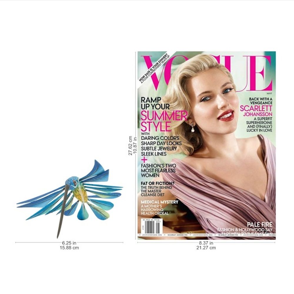 Alternate item image