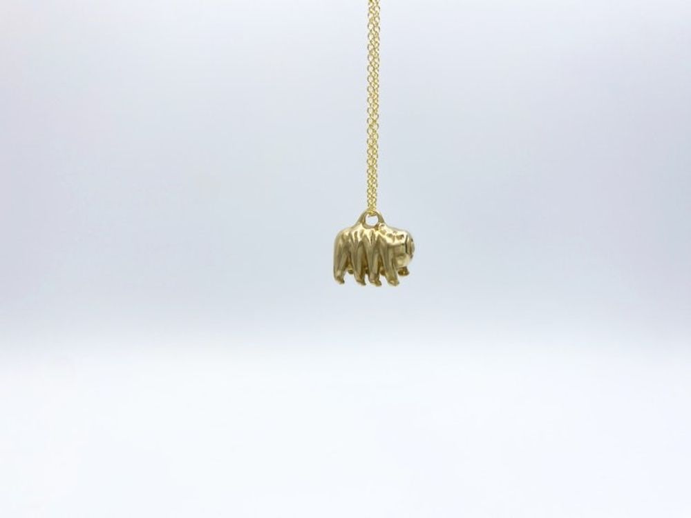 Alternate item image