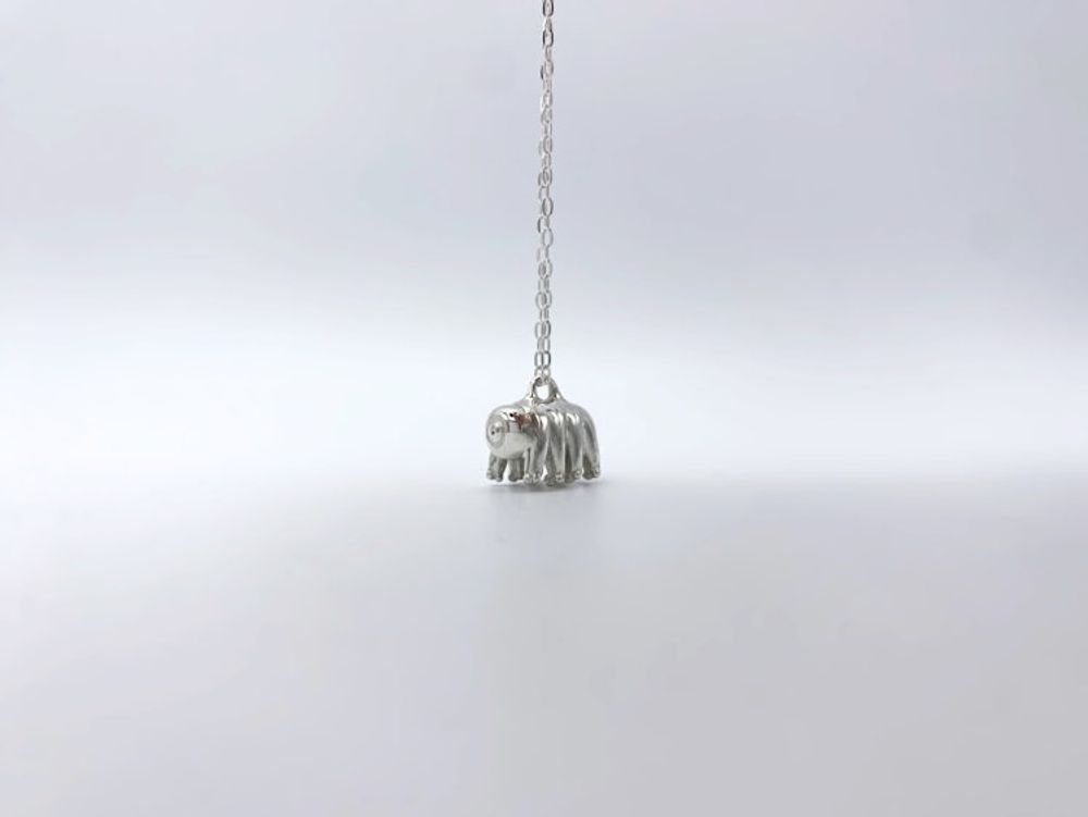 Alternate item image