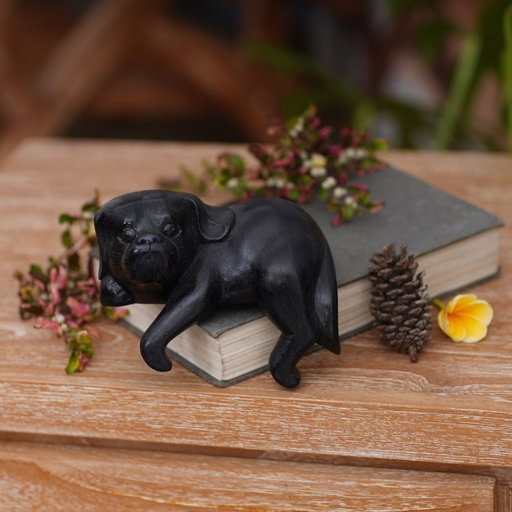 Alternate item image