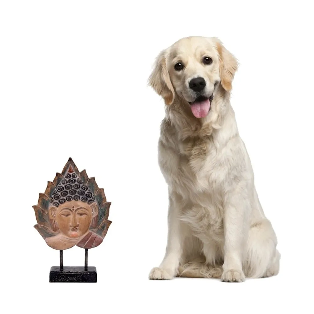 Alternate item image