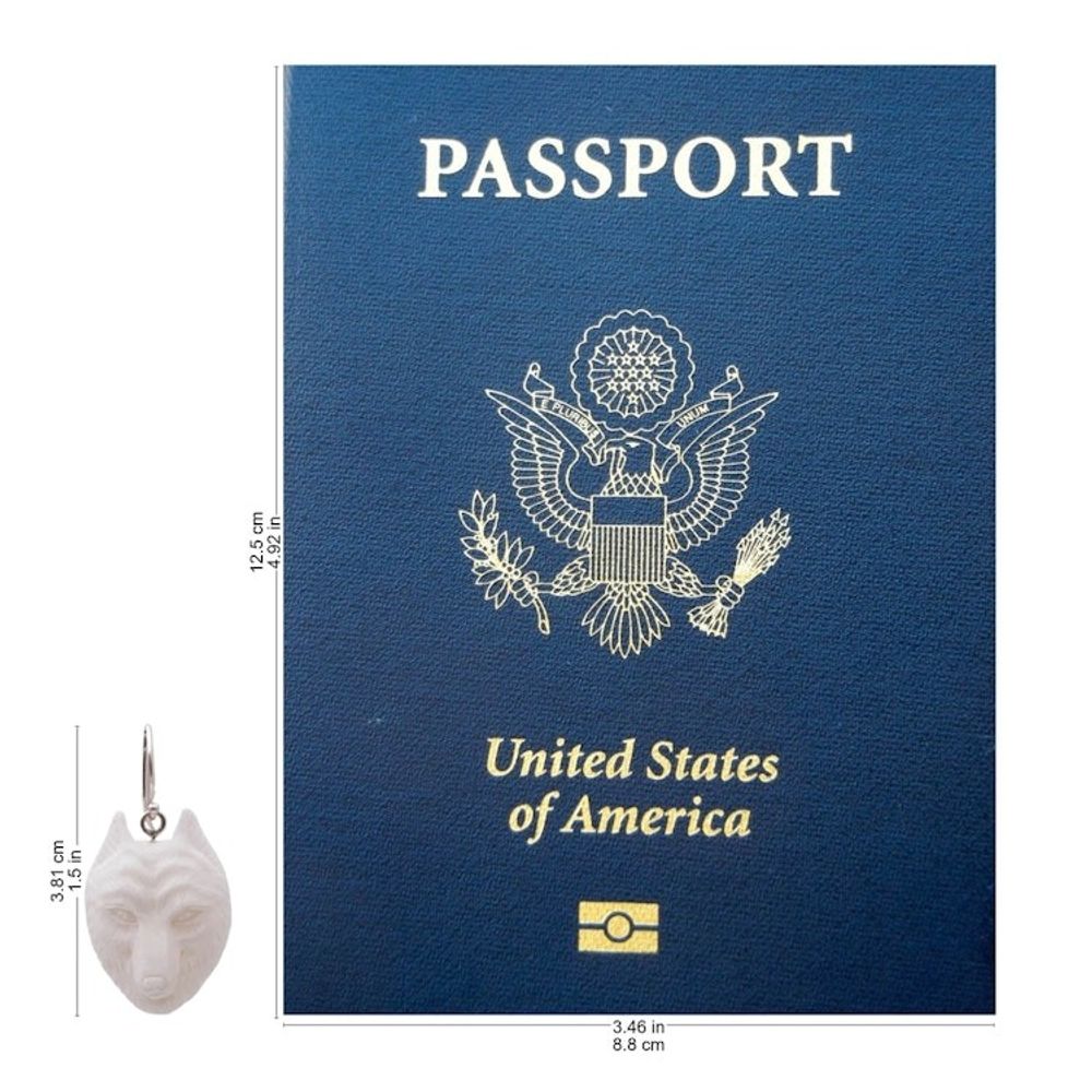 Alternate item image