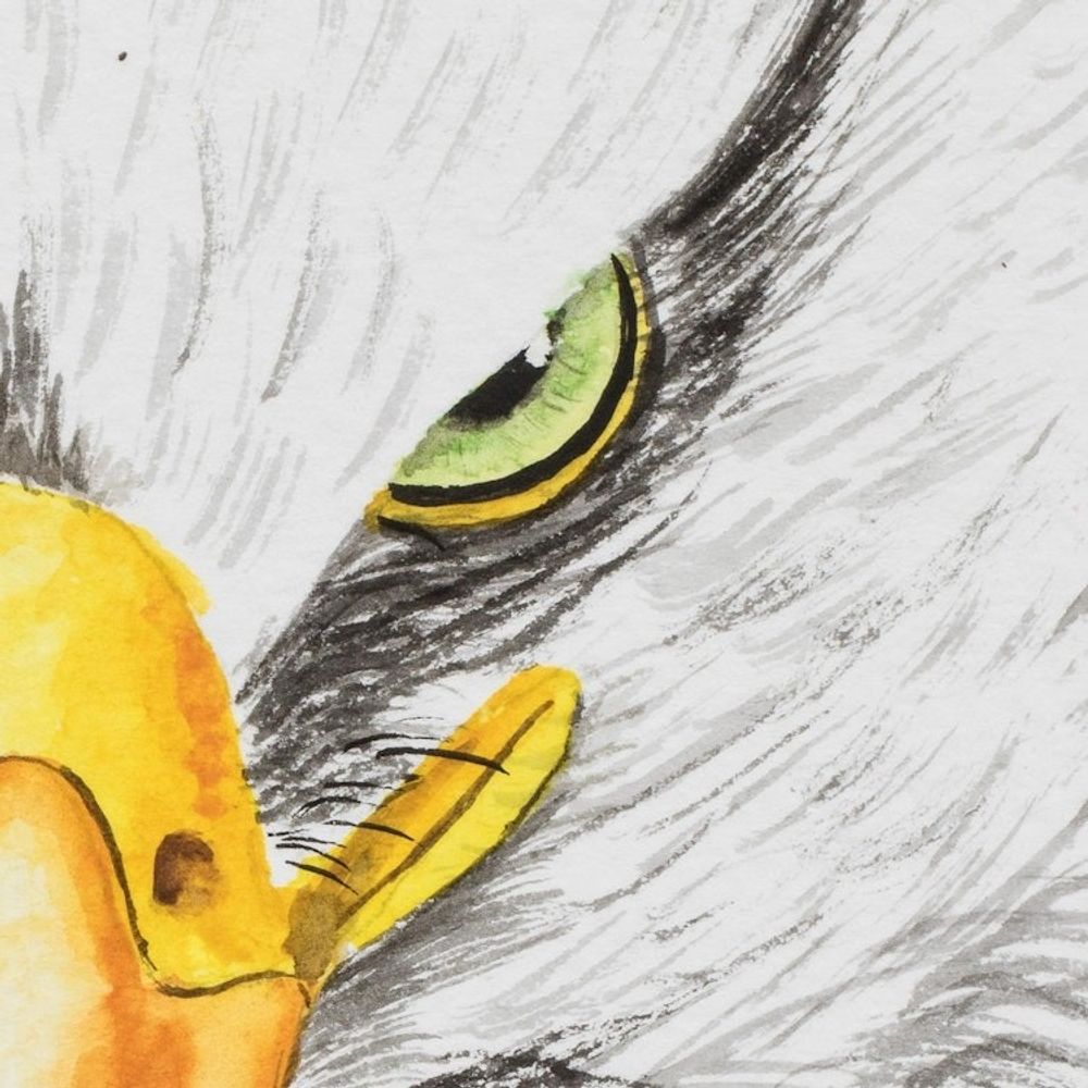 Alternate item image