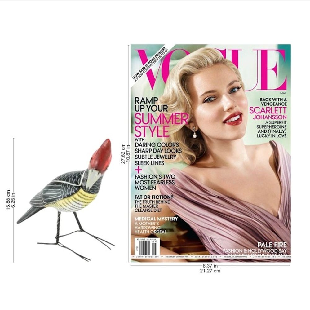 Alternate item image