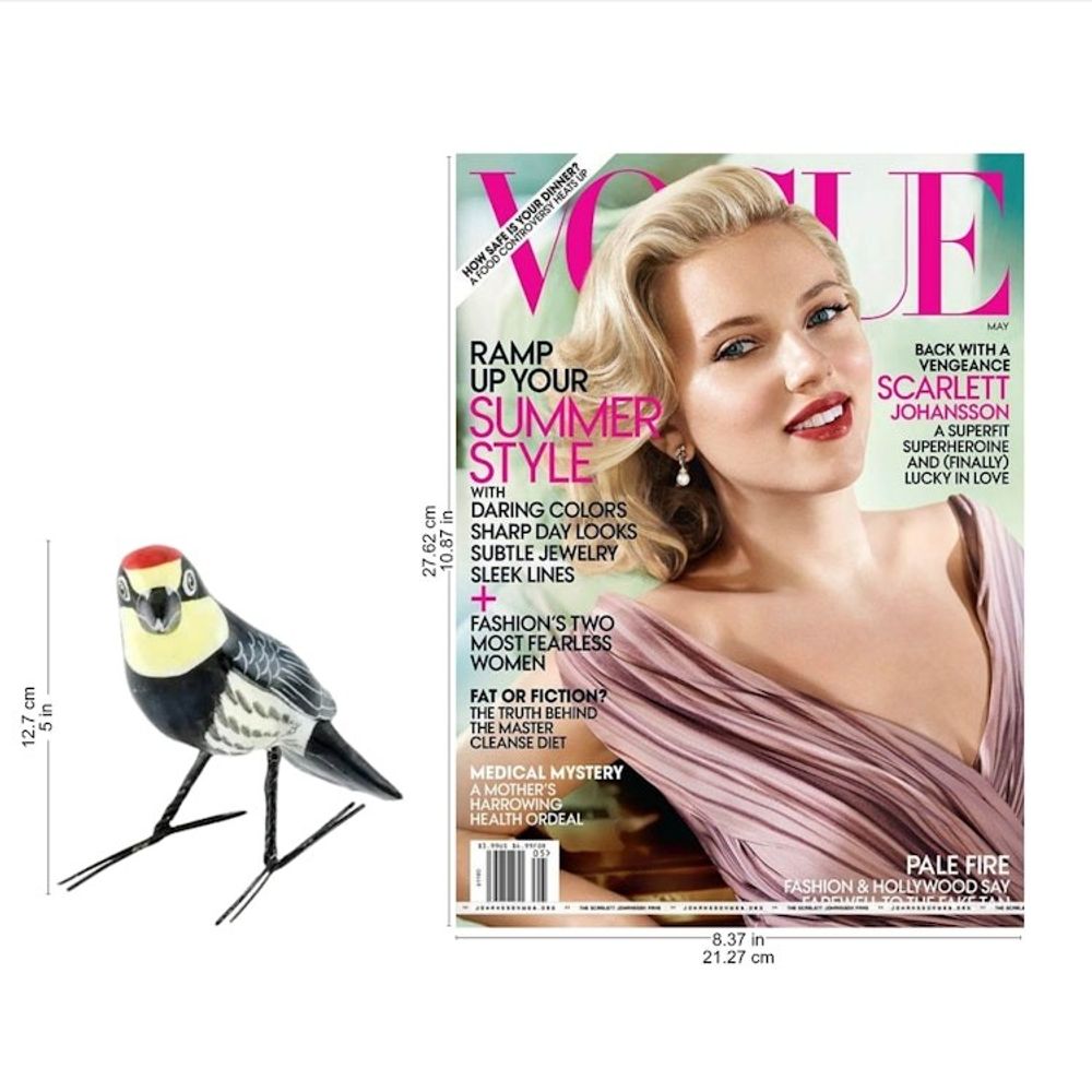 Alternate item image