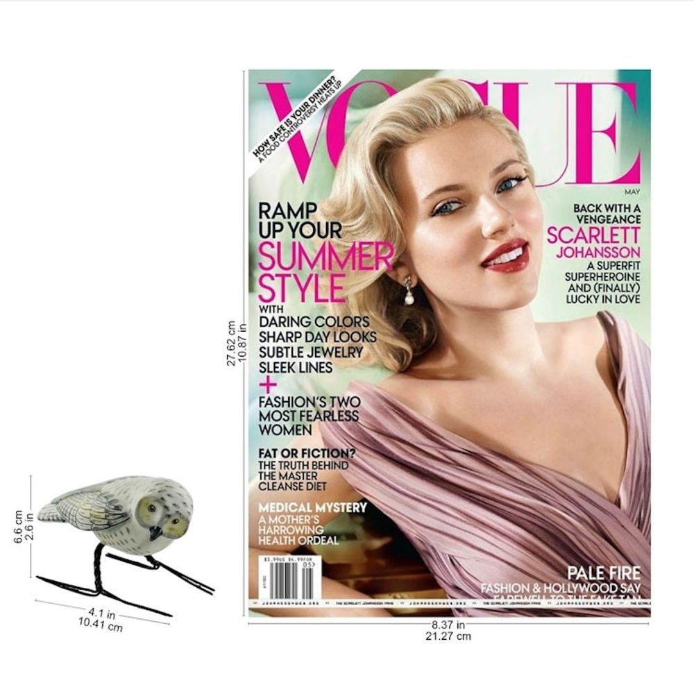 Alternate item image