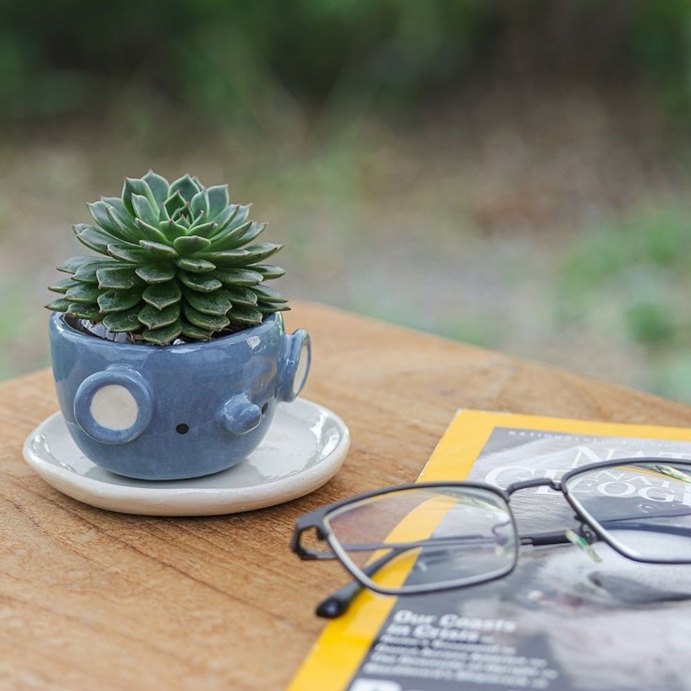 Alternate item image