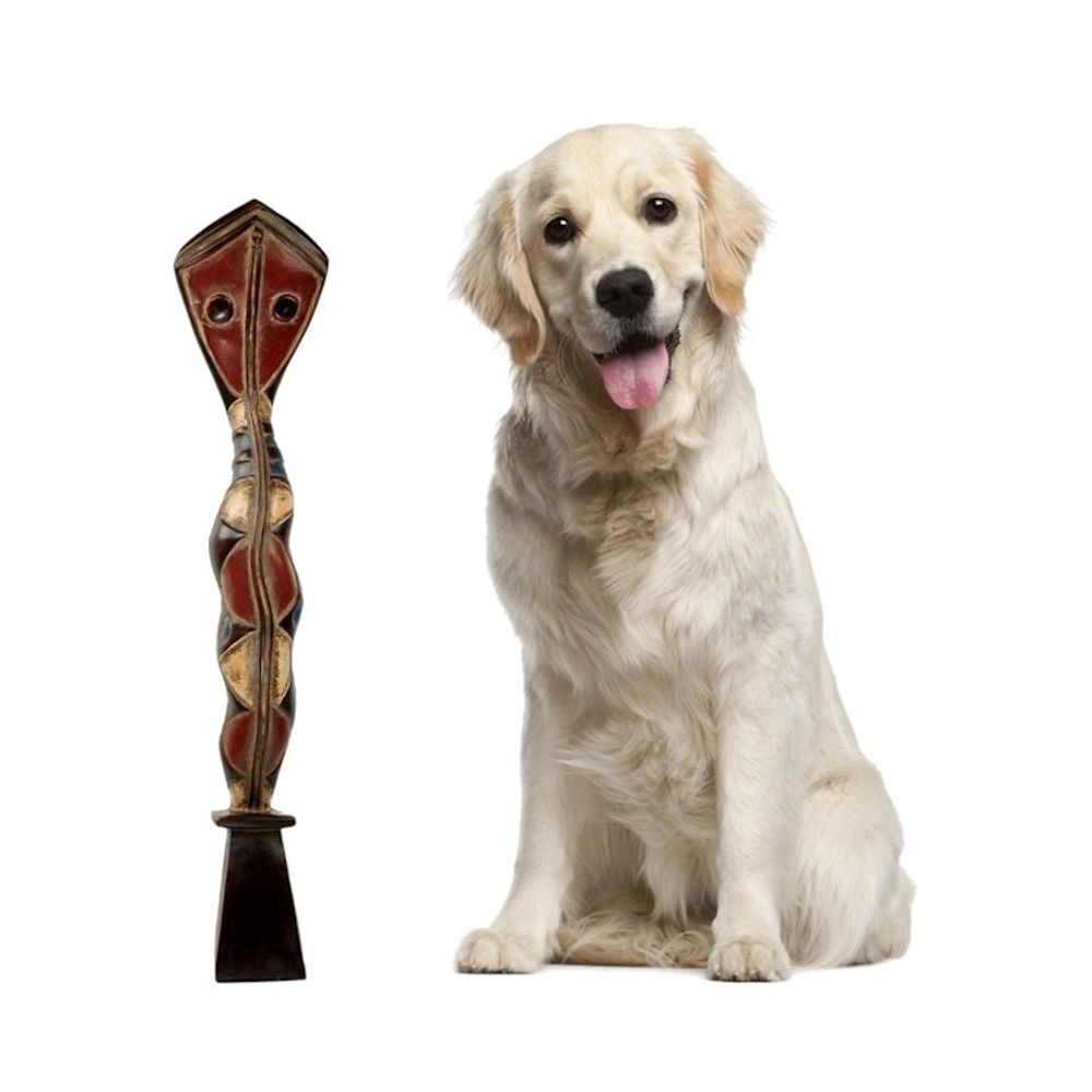 Alternate item image