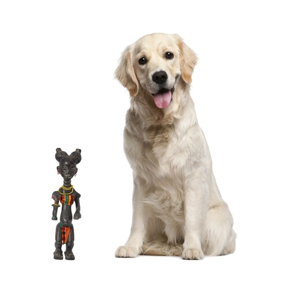 Alternate item image