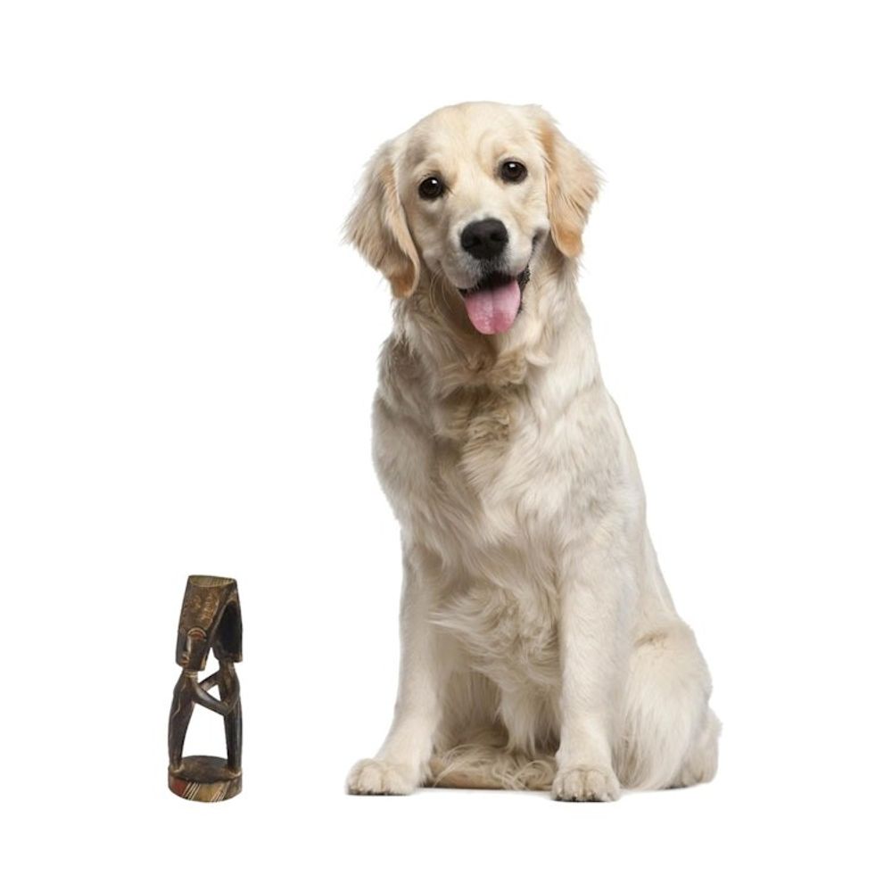 Alternate item image