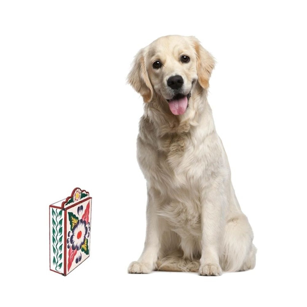 Alternate item image