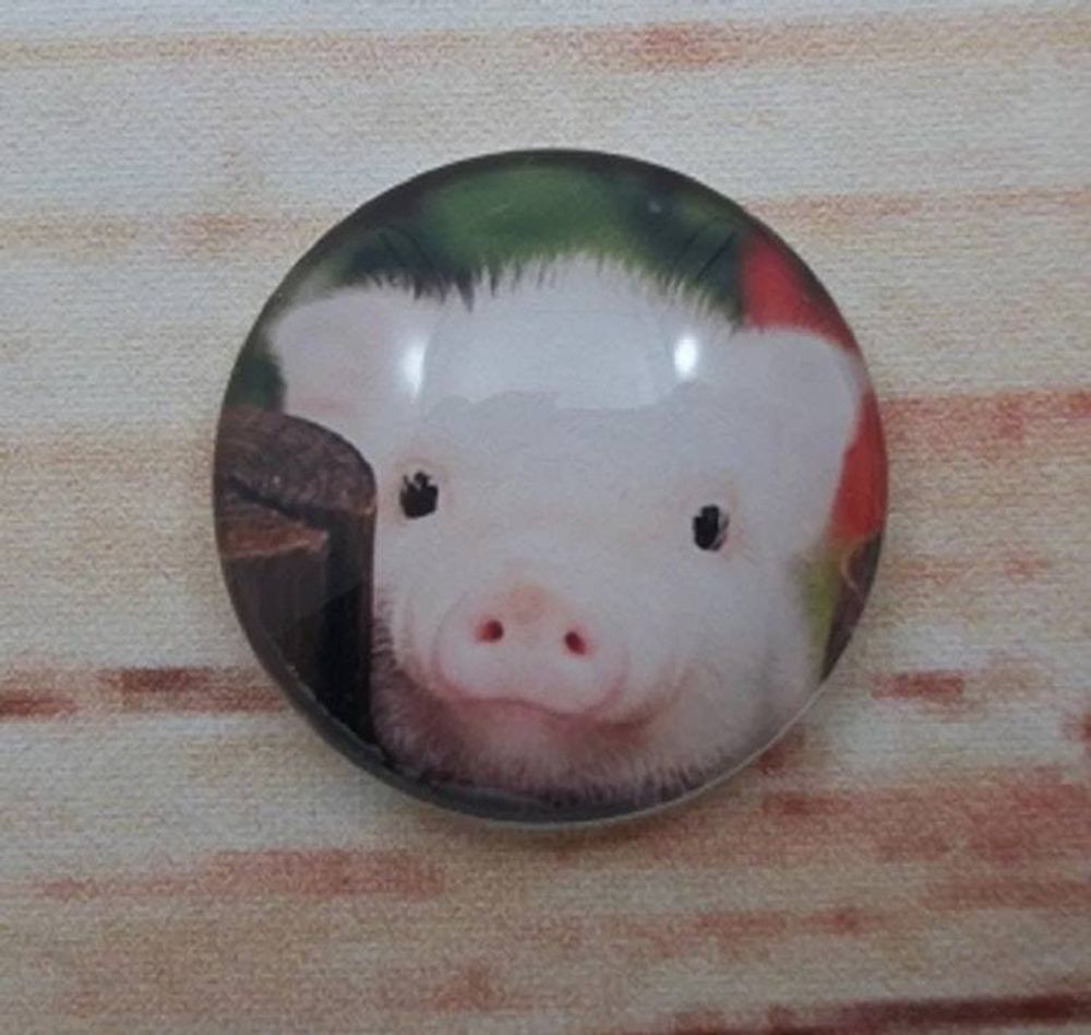 Alternate item image