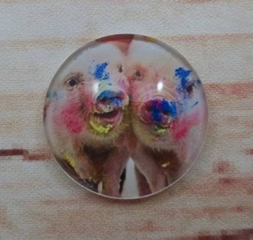 Alternate item image