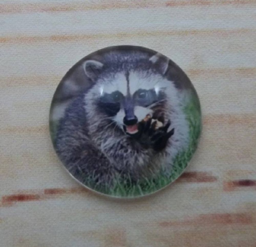 Alternate item image