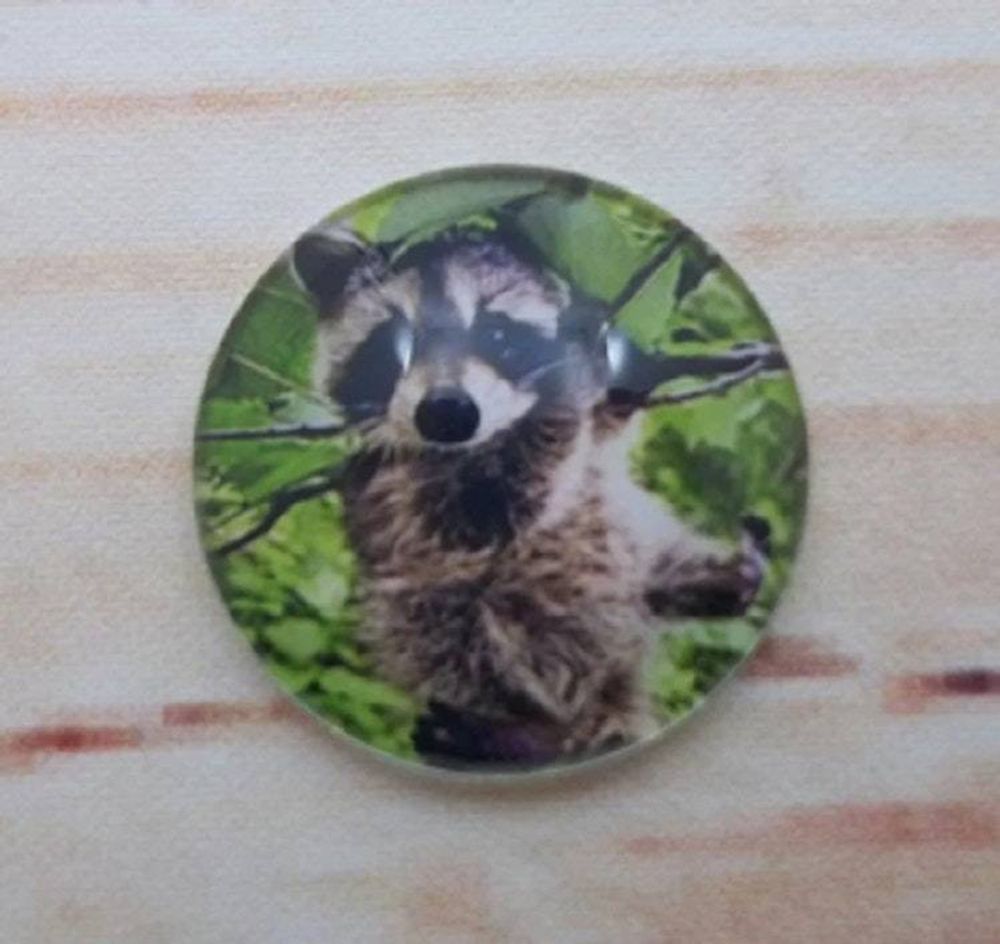Alternate item image