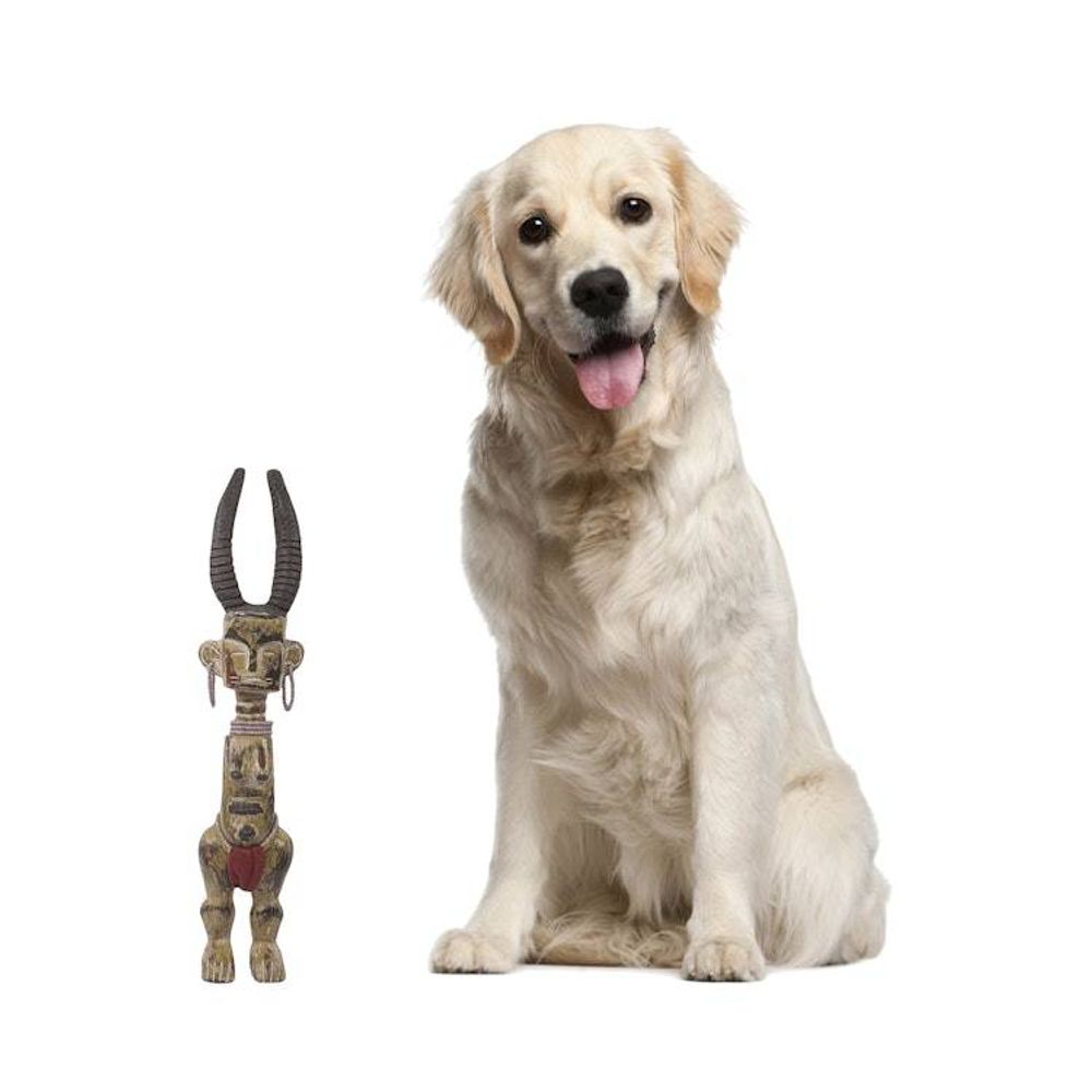 Alternate item image