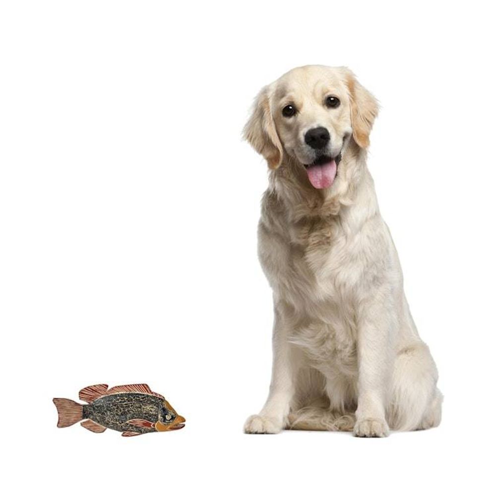 Alternate item image