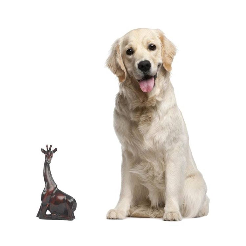 Alternate item image