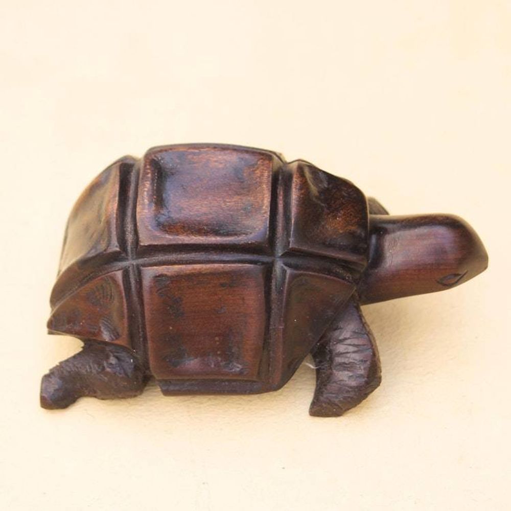 Main item image