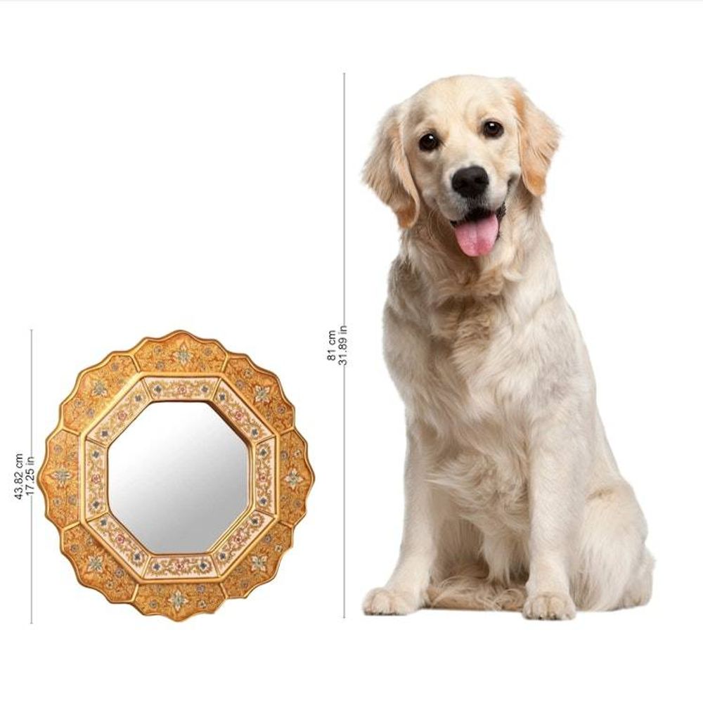 Alternate item image