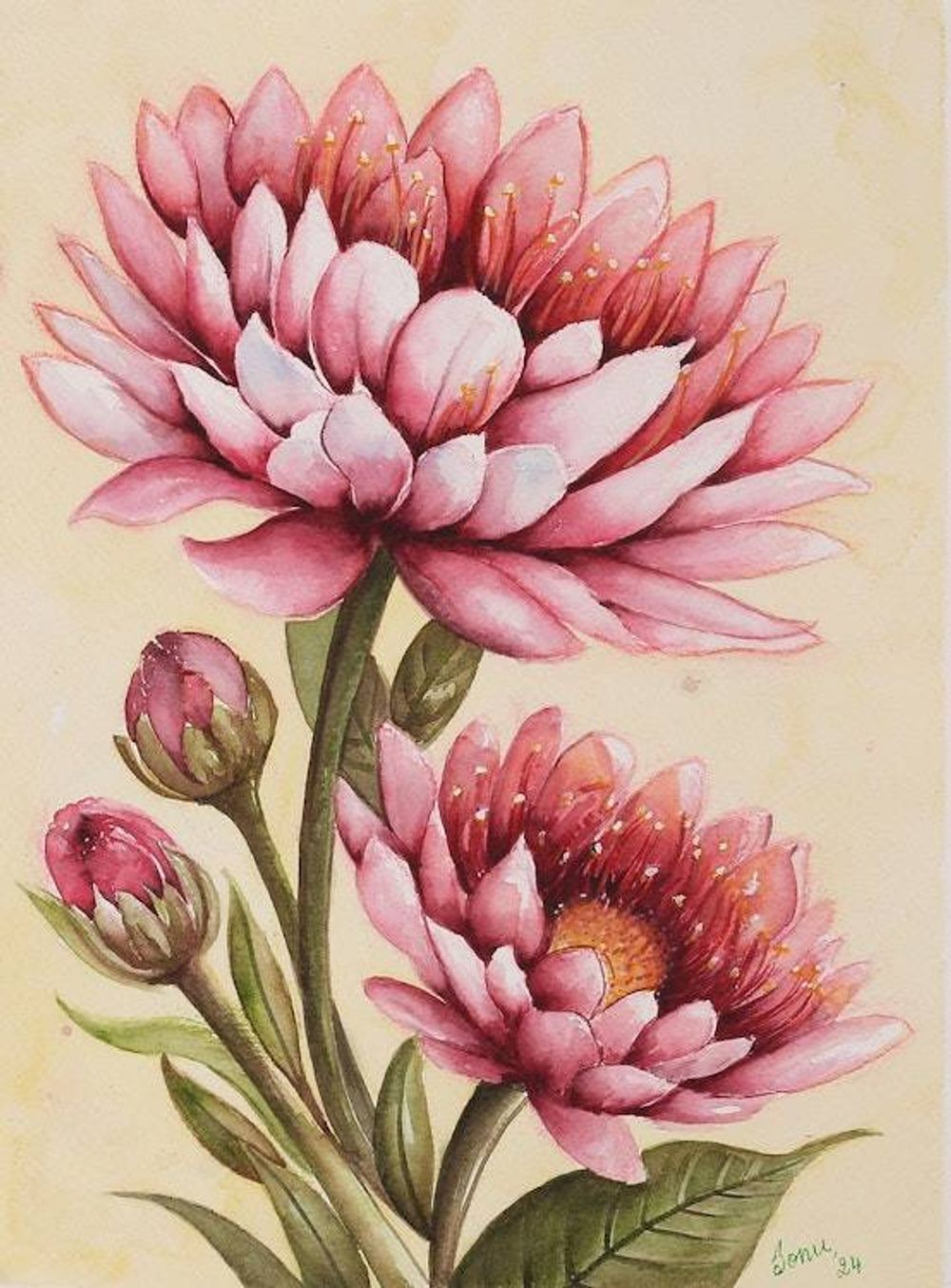 Main item image