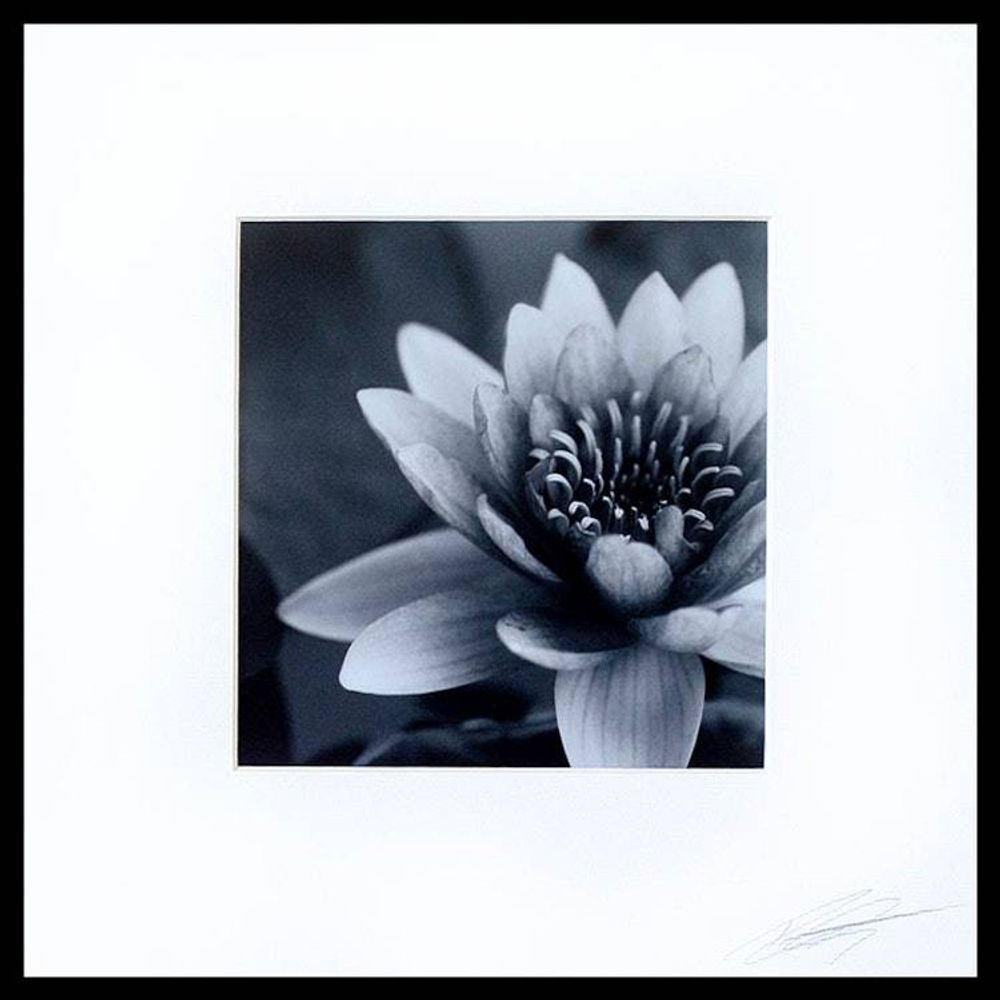 Main item image