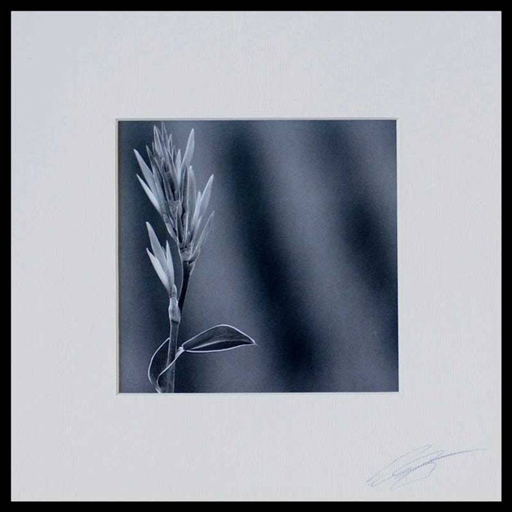 Main item image