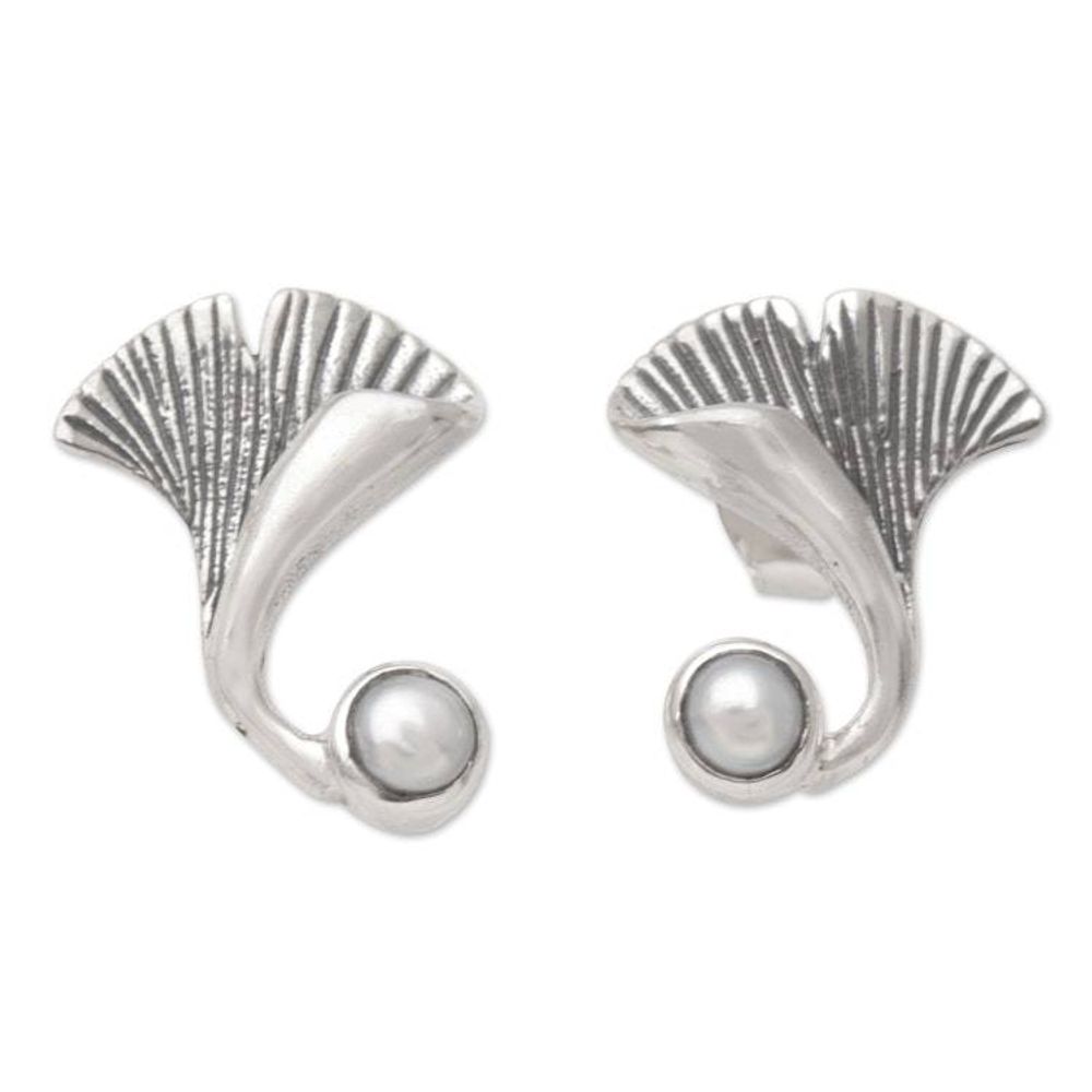 Main item image