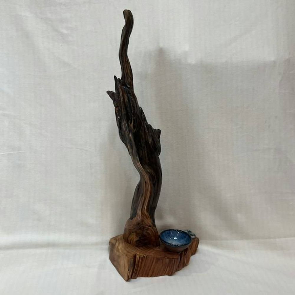 Main item image