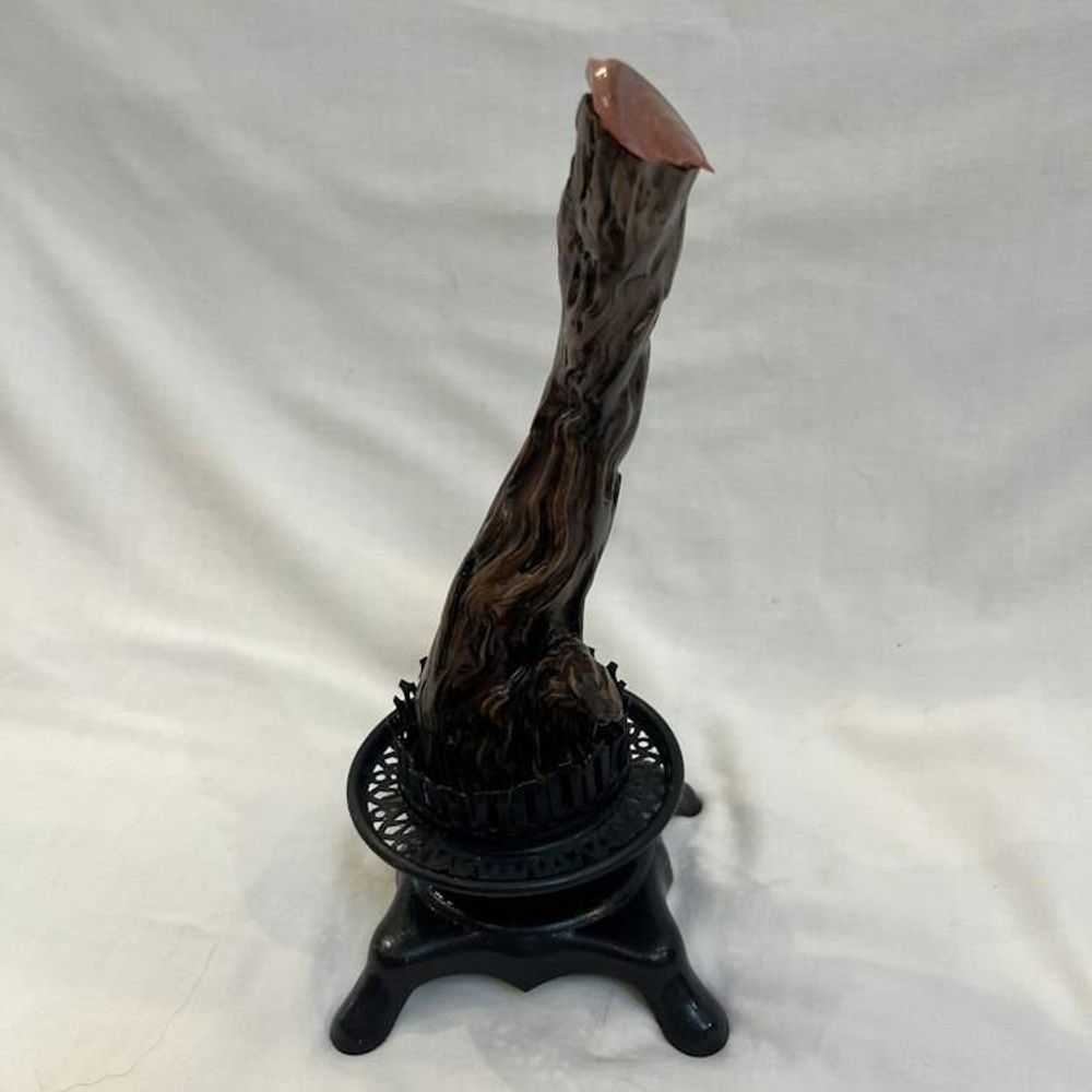 Main item image