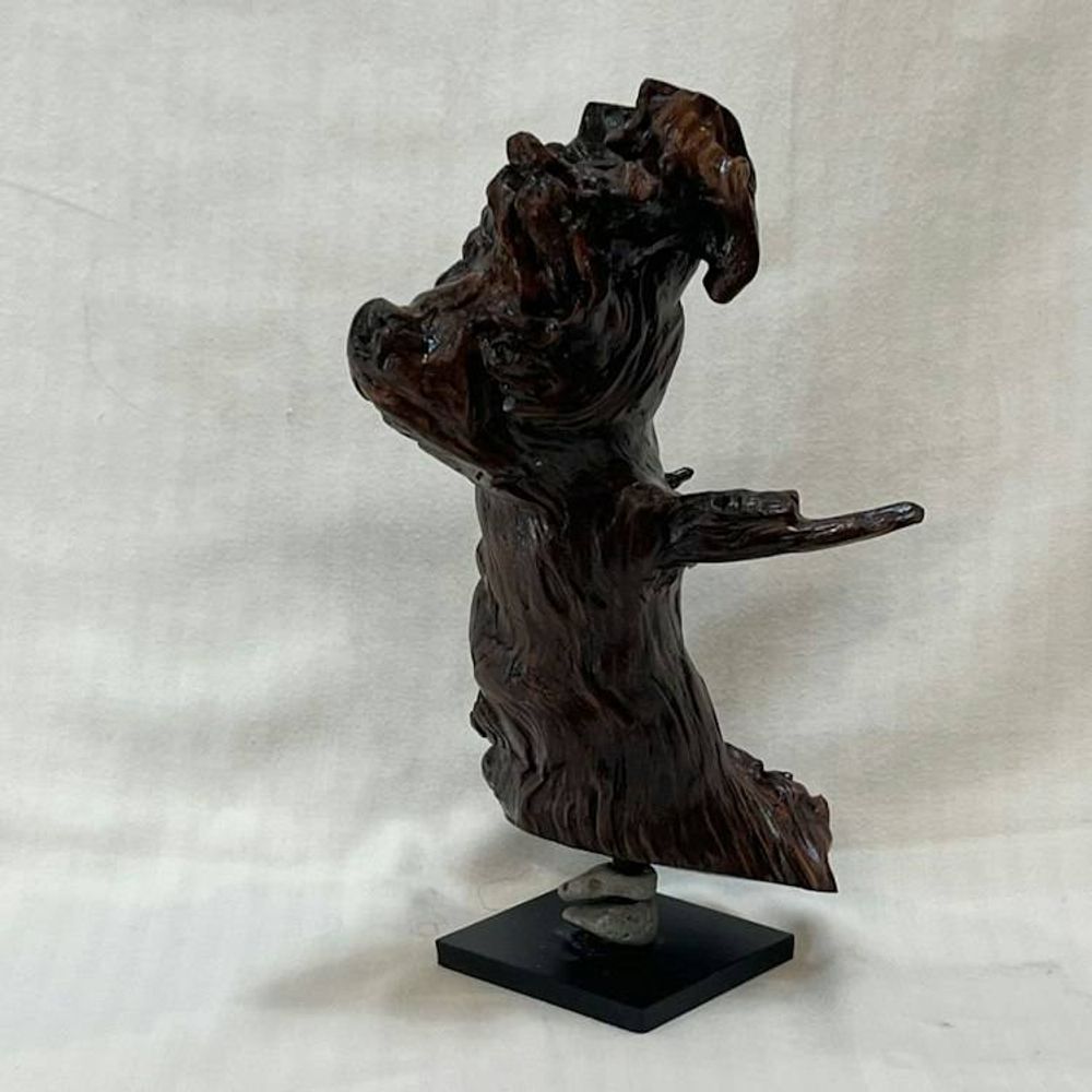 Main item image