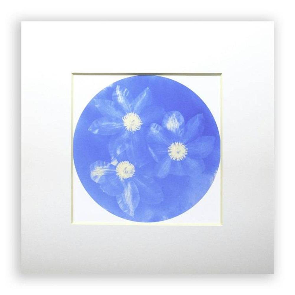 Main item image