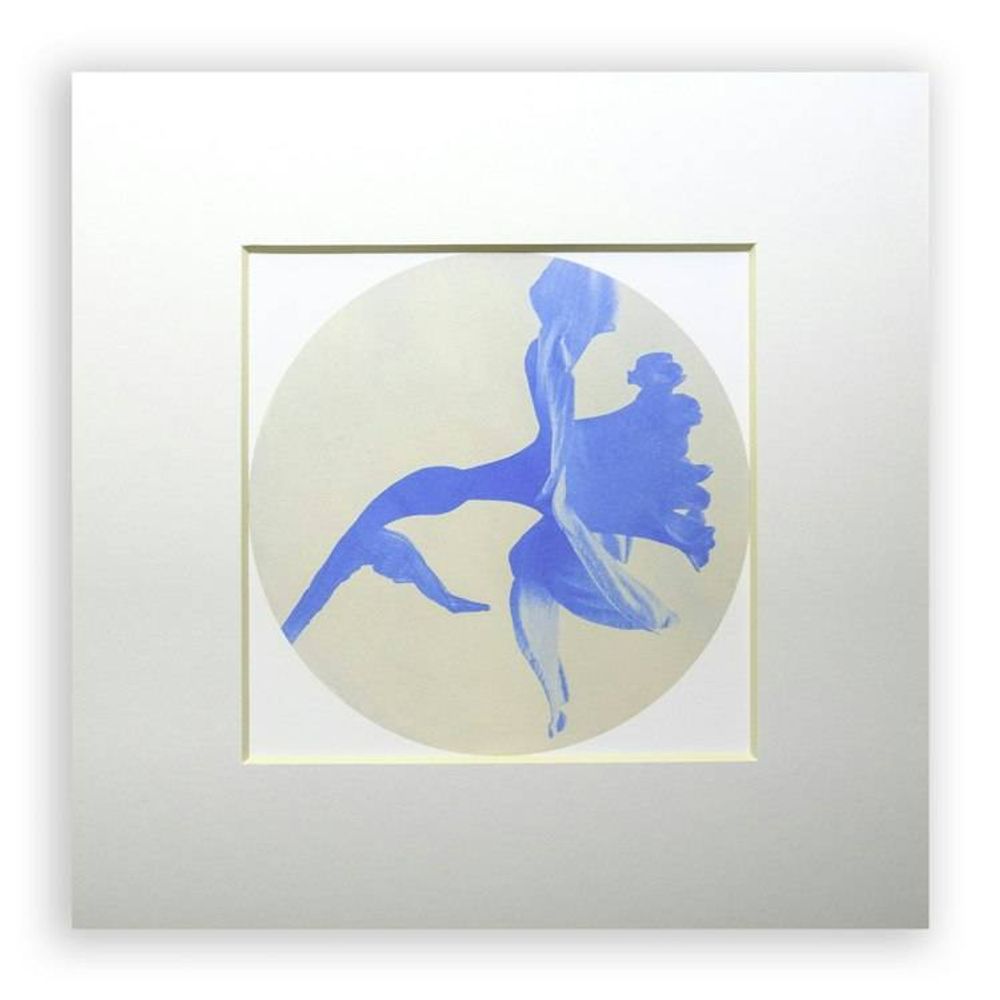 Main item image
